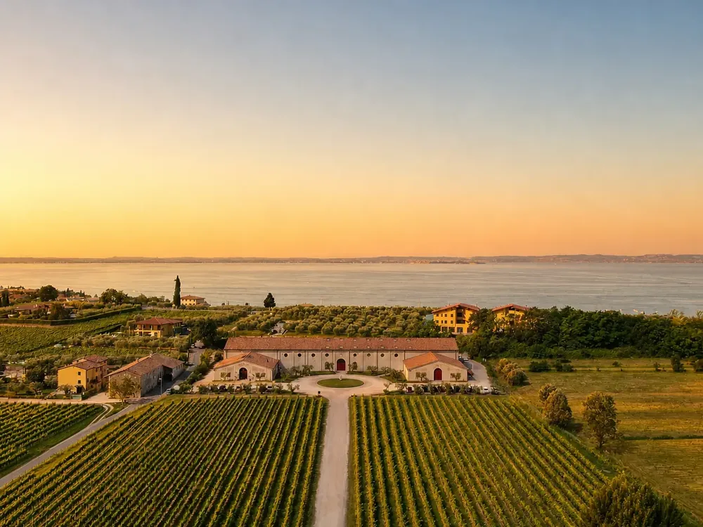 Guerrieri Rizzardi vineyard in Bardolino near Lake Garda