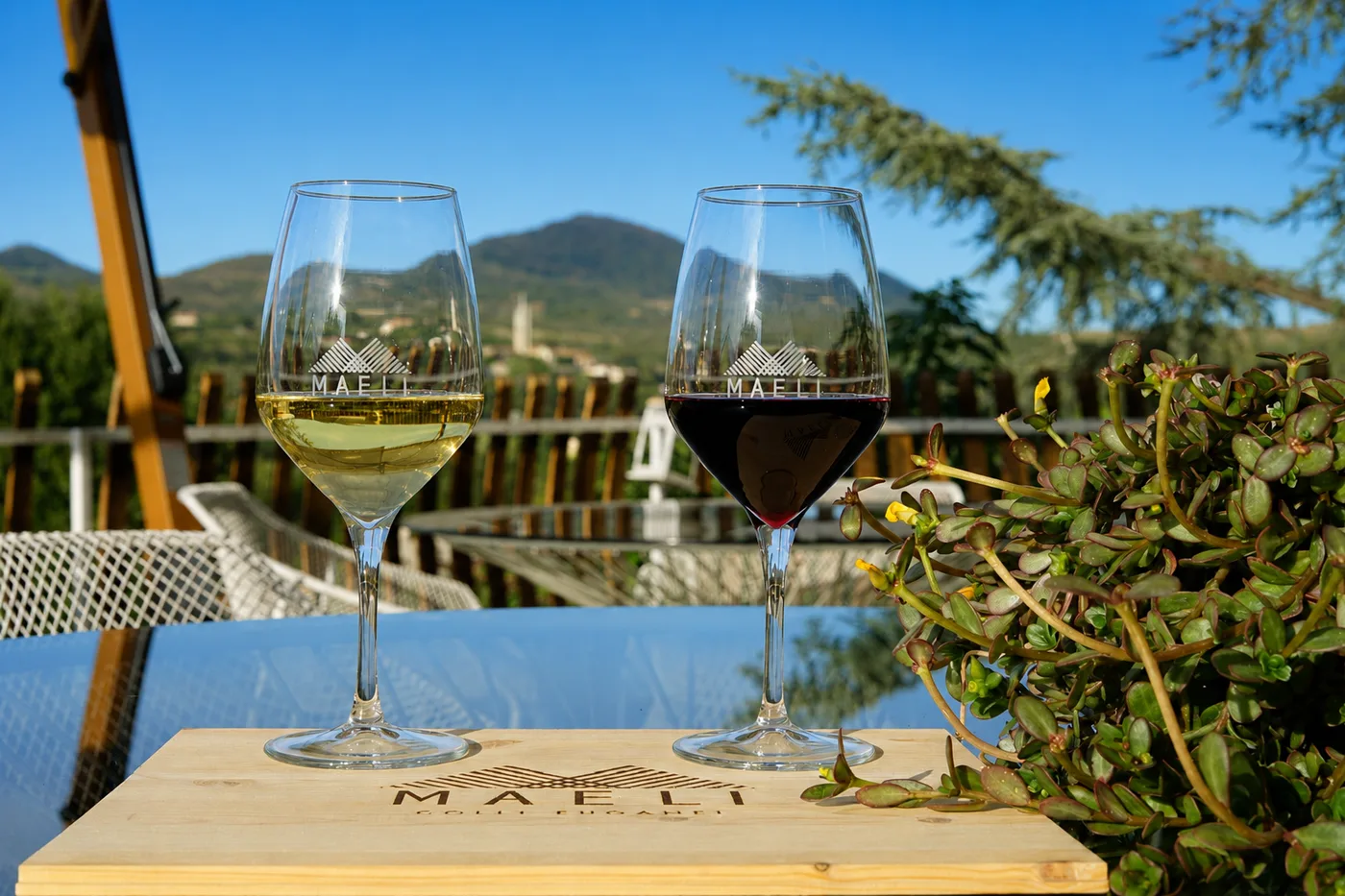 Maeli wine tasting in the Colli Euganei landscape