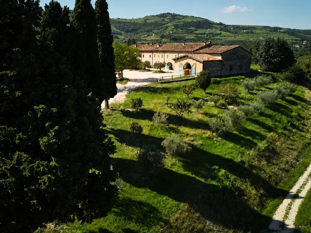 Tedeschi Valpolicella hillside vineyard estate