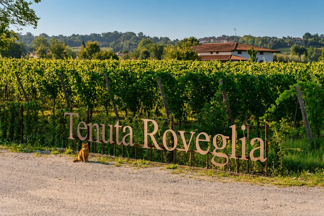 Tenuta Roveglia winery estate in the Lugana area