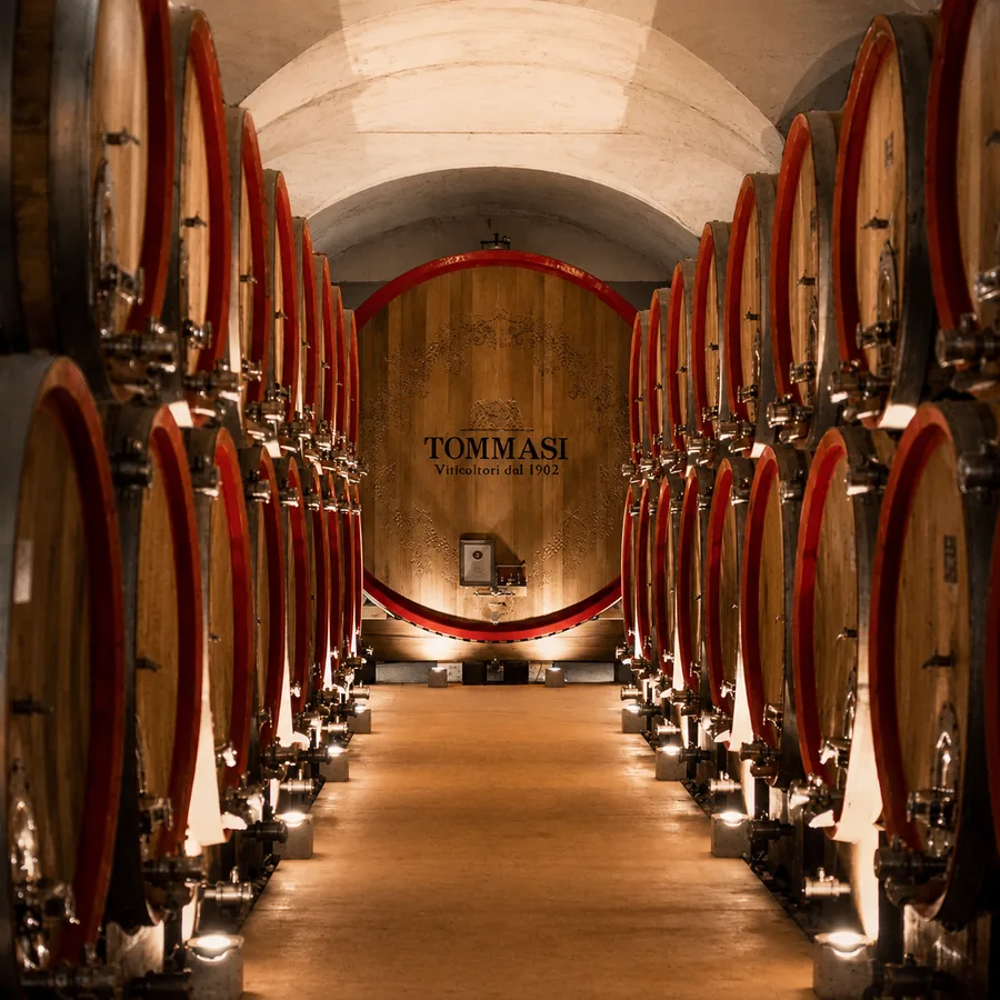 Tommasi winery cellar with wooden barrels in Valpolicella